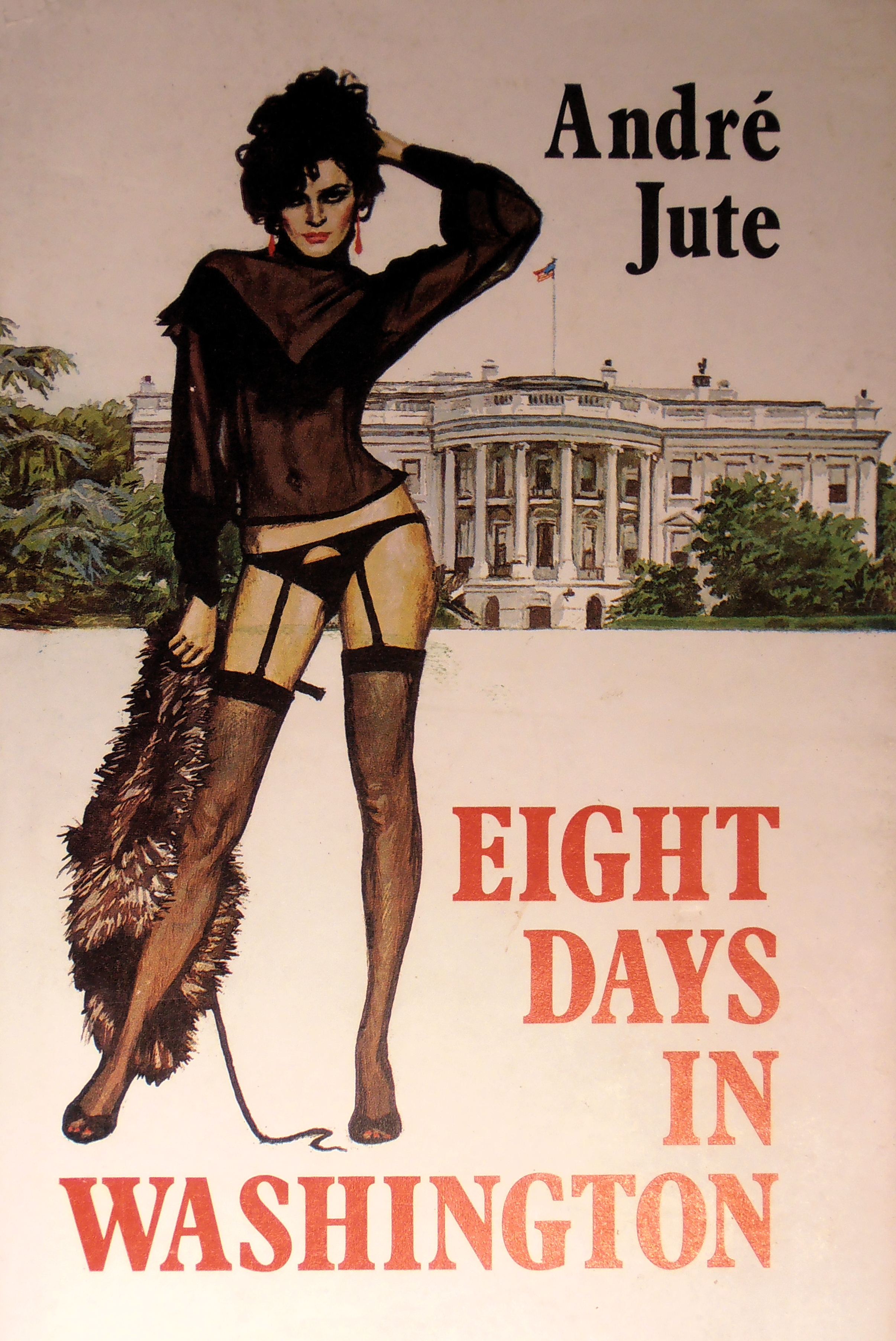 EIGHT DAYS IN WASHINGTON  by Andre Jute