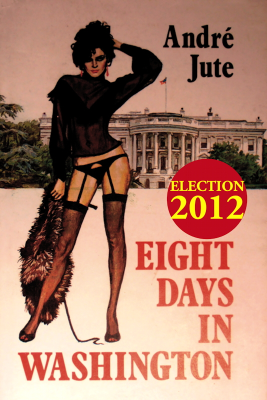 EIGHT DAYS IN WASHINGTON  by Andre Jute