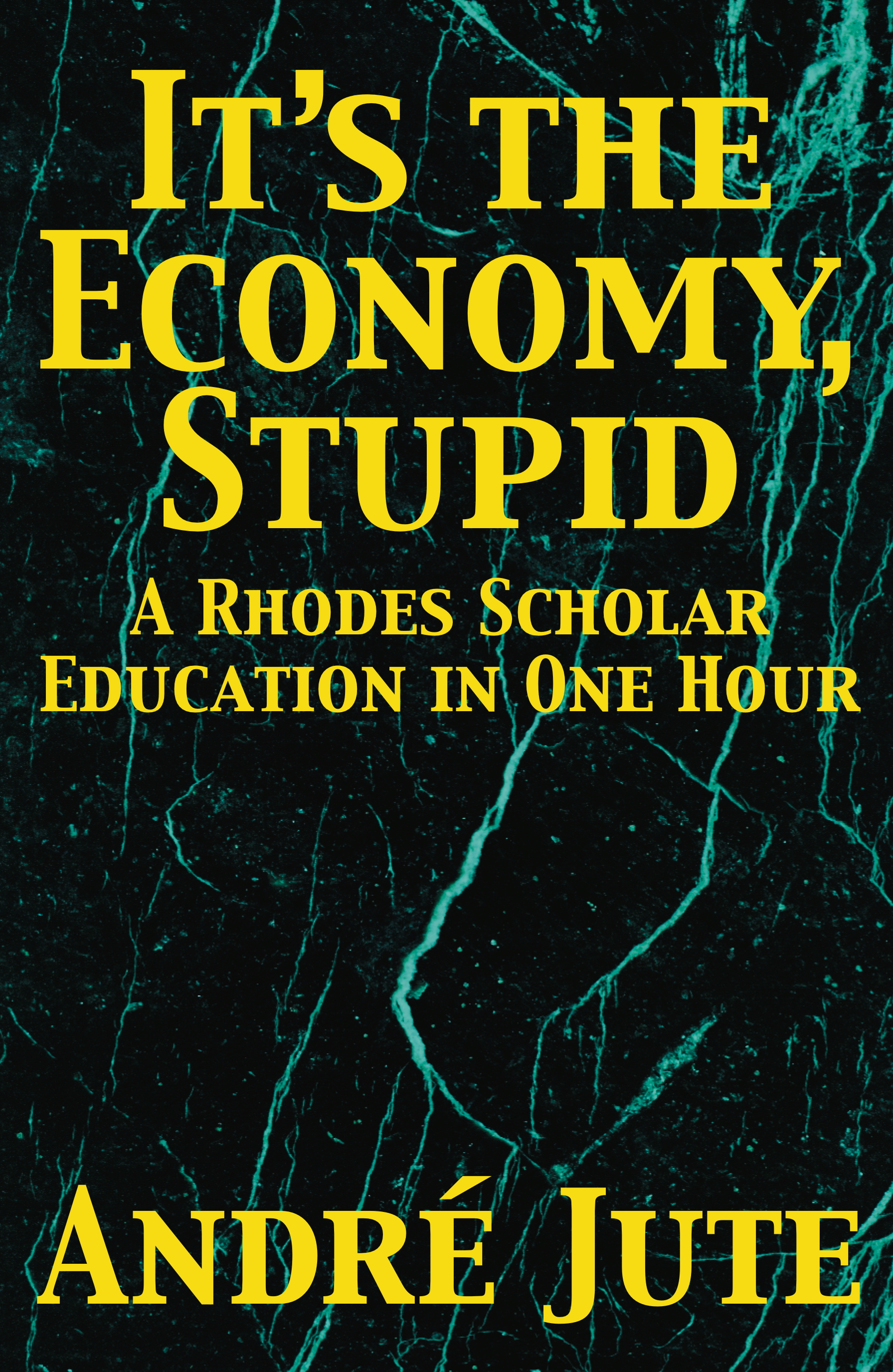 IT'S THE ECONOMY STUPID by Andre Jute